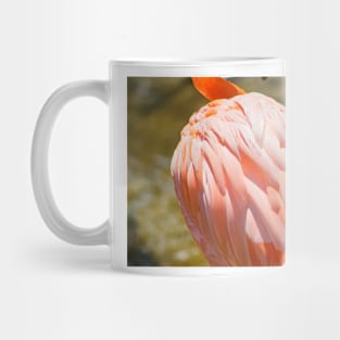 Flamingo body Mug